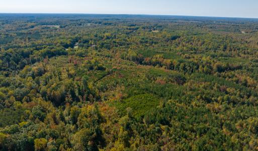 Photo #9 of SOLD property in Off Stoney Creek School Road, Reidsville, NC 19.5 acres