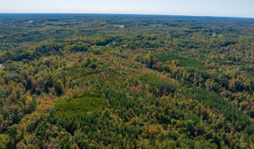 Photo #10 of SOLD property in Off Stoney Creek School Road, Reidsville, NC 19.5 acres