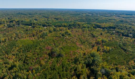 Photo #11 of SOLD property in Off Stoney Creek School Road, Reidsville, NC 19.5 acres