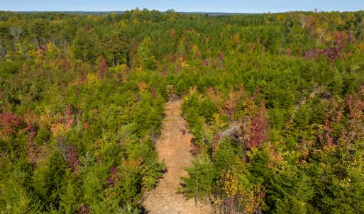 Photo #16 of SOLD property in Off Stoney Creek School Road, Reidsville, NC 19.5 acres