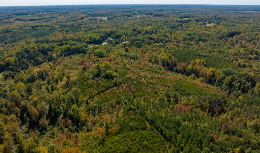 Photo #18 of SOLD property in Off Stoney Creek School Road, Reidsville, NC 19.5 acres