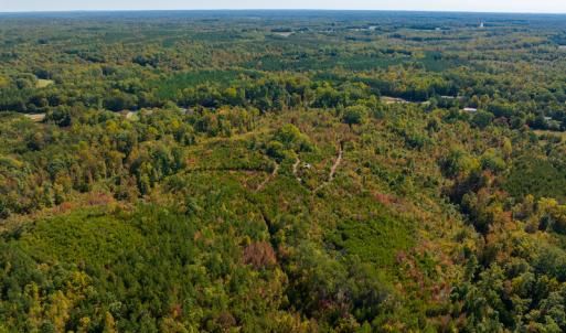 Photo #19 of SOLD property in Off Stoney Creek School Road, Reidsville, NC 19.5 acres