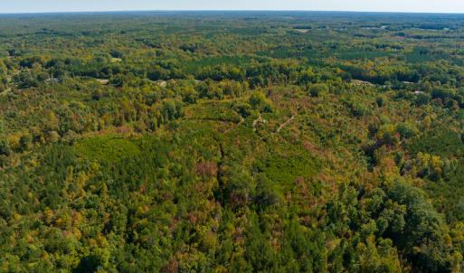 Photo #20 of SOLD property in Off Stoney Creek School Road, Reidsville, NC 19.5 acres