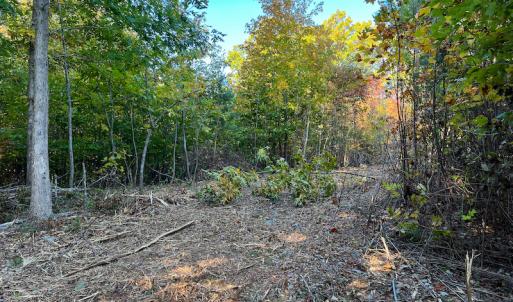 Photo #22 of SOLD property in Off Stoney Creek School Road, Reidsville, NC 19.5 acres