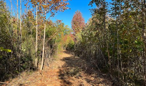 Photo #23 of SOLD property in Off Stoney Creek School Road, Reidsville, NC 19.5 acres