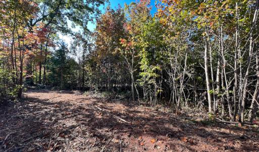 Photo #24 of SOLD property in Off Stoney Creek School Road, Reidsville, NC 19.5 acres