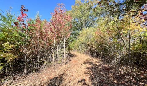 Photo #25 of SOLD property in Off Stoney Creek School Road, Reidsville, NC 19.5 acres