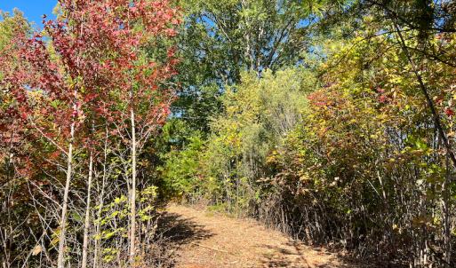 Photo #26 of SOLD property in Off Stoney Creek School Road, Reidsville, NC 19.5 acres