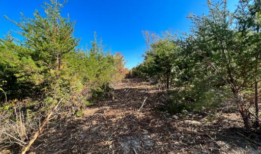 Photo #29 of SOLD property in Off Stoney Creek School Road, Reidsville, NC 19.5 acres