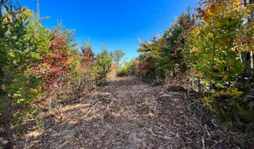 Photo #30 of SOLD property in Off Stoney Creek School Road, Reidsville, NC 19.5 acres