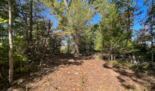 Photo #31 of SOLD property in Off Stoney Creek School Road, Reidsville, NC 19.5 acres