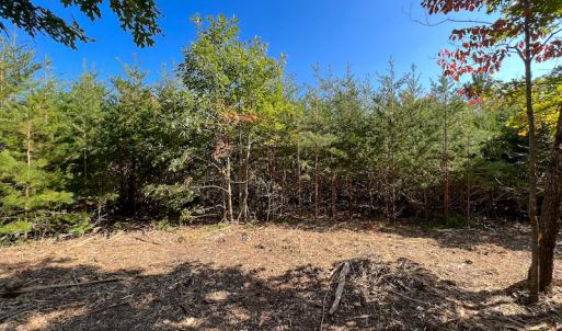 Photo #32 of SOLD property in Off Stoney Creek School Road, Reidsville, NC 19.5 acres