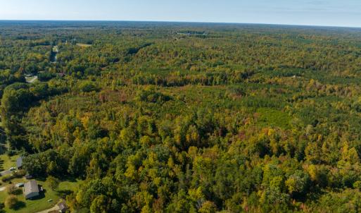 Photo #7 of SOLD property in Off Stoney Creek School Road, Reidsville, NC 19.5 acres