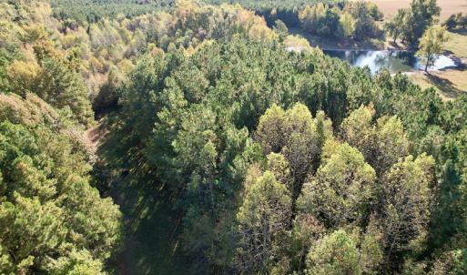 Photo #10 of SOLD property in Off Christanna Hwy, Alberta, VA 18.2 acres