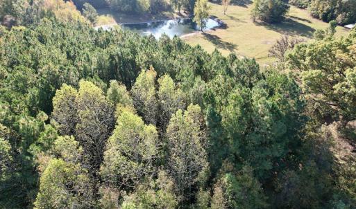 Photo #12 of SOLD property in Off Christanna Hwy, Alberta, VA 18.2 acres