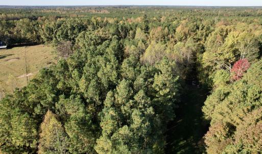 Photo #15 of SOLD property in Off Christanna Hwy, Alberta, VA 18.2 acres