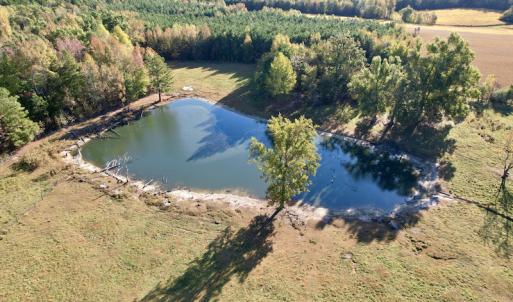 Photo #23 of SOLD property in Off Christanna Hwy, Alberta, VA 18.2 acres