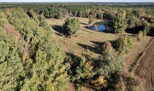 Photo #5 of SOLD property in Off Christanna Hwy, Alberta, VA 18.2 acres