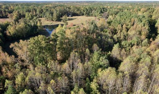 Photo #8 of SOLD property in Off Christanna Hwy, Alberta, VA 18.2 acres