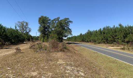 Photo #2 of SOLD property in Off Lee Road, Gibson, NC 3.7 acres