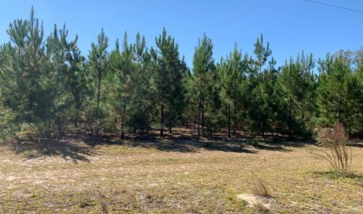 Photo #4 of SOLD property in Off Lee Road, Gibson, NC 3.7 acres
