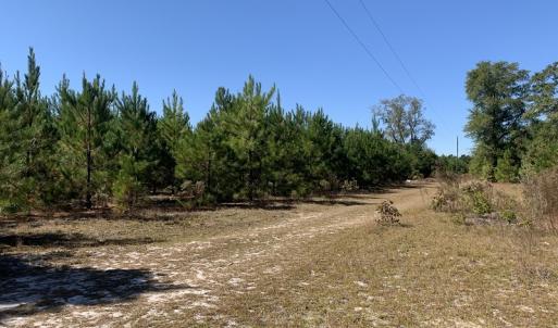 Photo #5 of SOLD property in Off Lee Road, Gibson, NC 3.7 acres