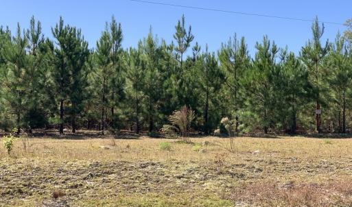 Photo #6 of SOLD property in Off Lee Road, Gibson, NC 3.7 acres