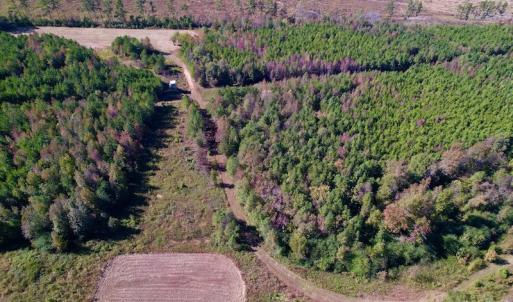 Photo #9 of Off Silvertown Road, Enfield, NC 75.0 acres