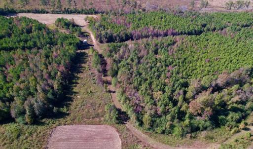 Photo #9 of SOLD property in Off Silvertown Road, Enfield, NC 75.0 acres