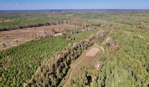 Photo #10 of SOLD property in Off Silvertown Road, Enfield, NC 75.0 acres
