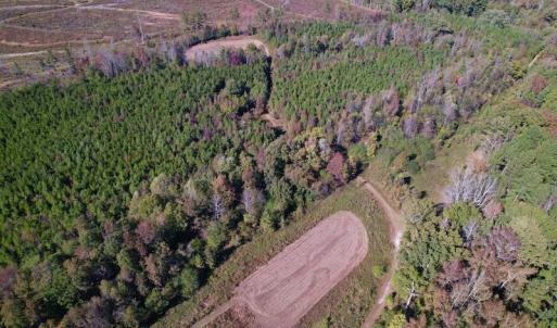 Photo #11 of SOLD property in Off Silvertown Road, Enfield, NC 75.0 acres