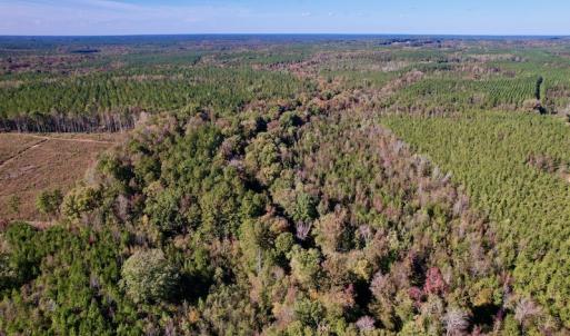 Photo #12 of SOLD property in Off Silvertown Road, Enfield, NC 75.0 acres
