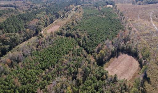 Photo #13 of SOLD property in Off Silvertown Road, Enfield, NC 75.0 acres