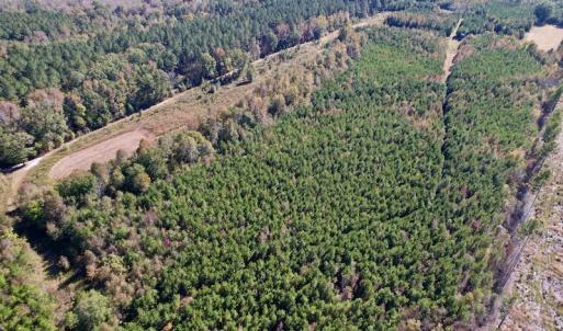 Photo #14 of Off Silvertown Road, Enfield, NC 75.0 acres