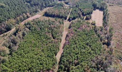 Photo #15 of SOLD property in Off Silvertown Road, Enfield, NC 75.0 acres