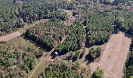 Photo #16 of SOLD property in Off Silvertown Road, Enfield, NC 75.0 acres