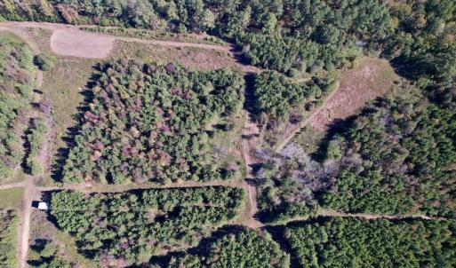 Photo #17 of SOLD property in Off Silvertown Road, Enfield, NC 75.0 acres