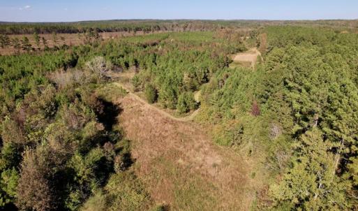 Photo #18 of SOLD property in Off Silvertown Road, Enfield, NC 75.0 acres