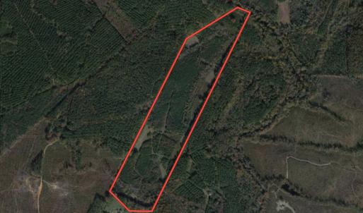 Photo #1 of SOLD property in Off Silvertown Road, Enfield, NC 75.0 acres