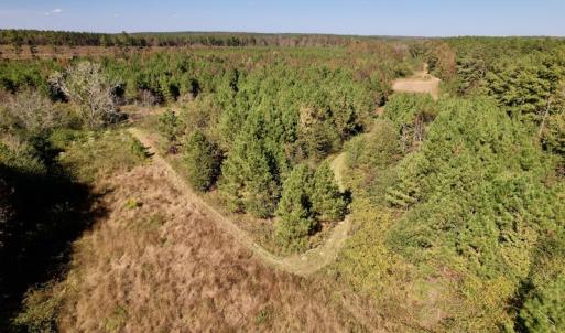 Photo #19 of SOLD property in Off Silvertown Road, Enfield, NC 75.0 acres