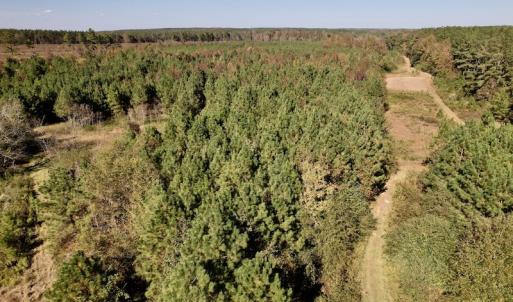 Photo #20 of SOLD property in Off Silvertown Road, Enfield, NC 75.0 acres