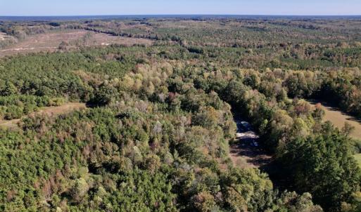 Photo #22 of SOLD property in Off Silvertown Road, Enfield, NC 75.0 acres
