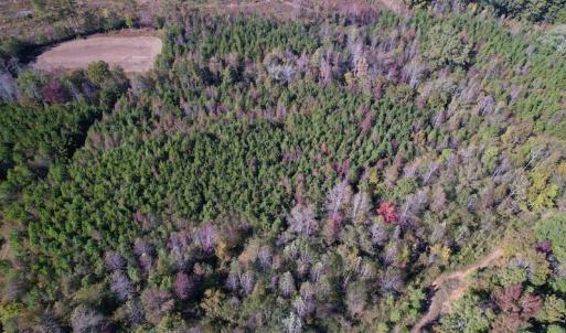 Photo #23 of SOLD property in Off Silvertown Road, Enfield, NC 75.0 acres