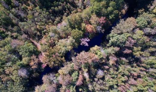 Photo #24 of SOLD property in Off Silvertown Road, Enfield, NC 75.0 acres