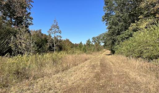 Photo #25 of SOLD property in Off Silvertown Road, Enfield, NC 75.0 acres