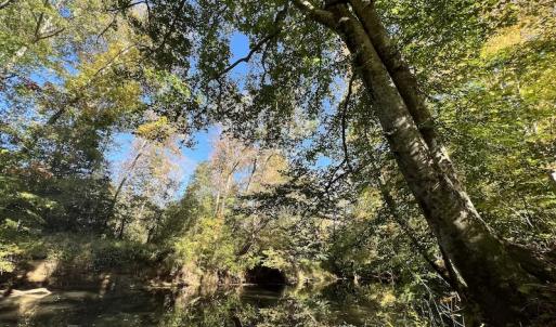 Photo #28 of SOLD property in Off Silvertown Road, Enfield, NC 75.0 acres