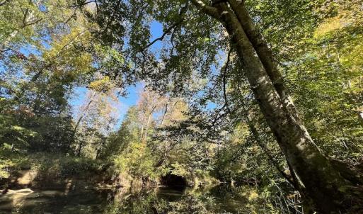 Photo #28 of Off Silvertown Road, Enfield, NC 75.0 acres