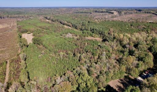 Photo #2 of SOLD property in Off Silvertown Road, Enfield, NC 75.0 acres