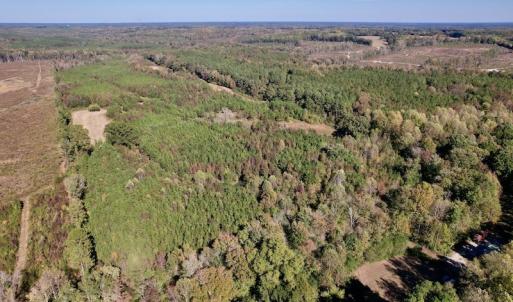 Photo #2 of Off Silvertown Road, Enfield, NC 75.0 acres