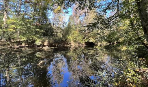 Photo #29 of SOLD property in Off Silvertown Road, Enfield, NC 75.0 acres